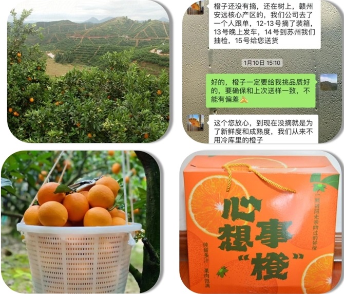 抖圈- 抖圈为赌而生